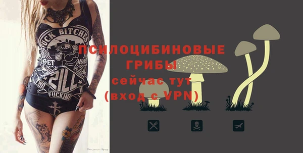 дмт Аркадак
