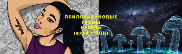 дмт Аркадак